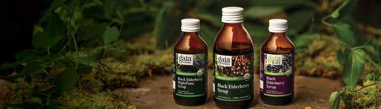 Gaia Herbs Black Elderberry Syrups